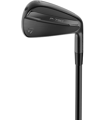 Amazon.com : TaylorMade Golf RORS∙Proto Rory McIlroy Irons 4-PW